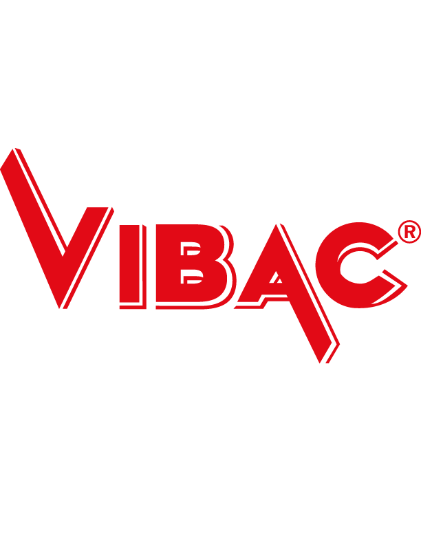 Vibac_Logo_png_big